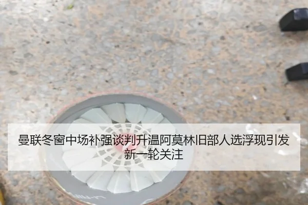 曼联冬窗中场补强谈判升温阿莫林旧部人选浮现引发新一轮关注 | hth